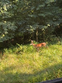 There in the backyard