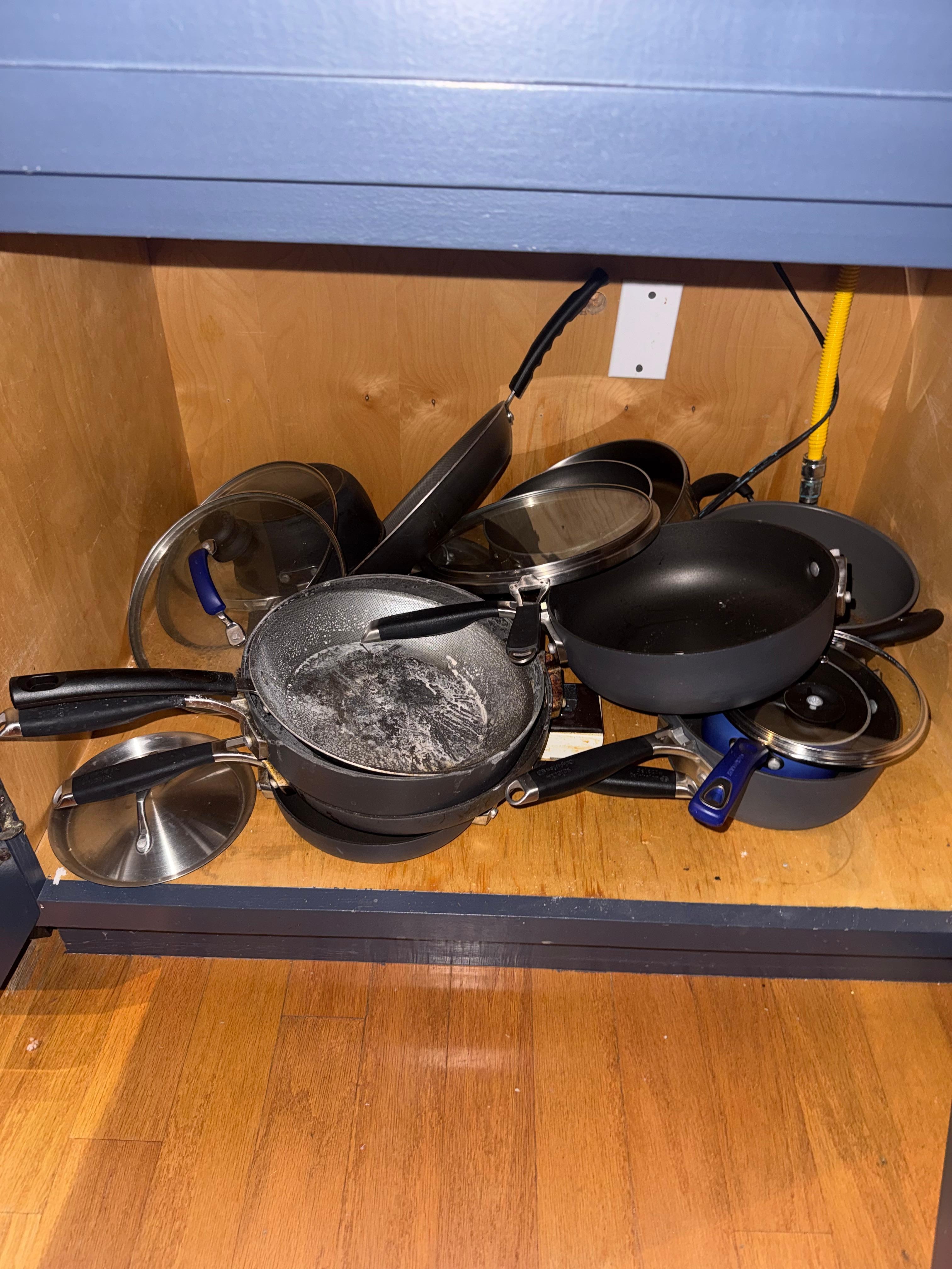 gross greased pans. My MIL graciously cleaned one of these.