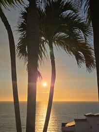 From pool deck