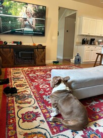 Rosco is watching TV.