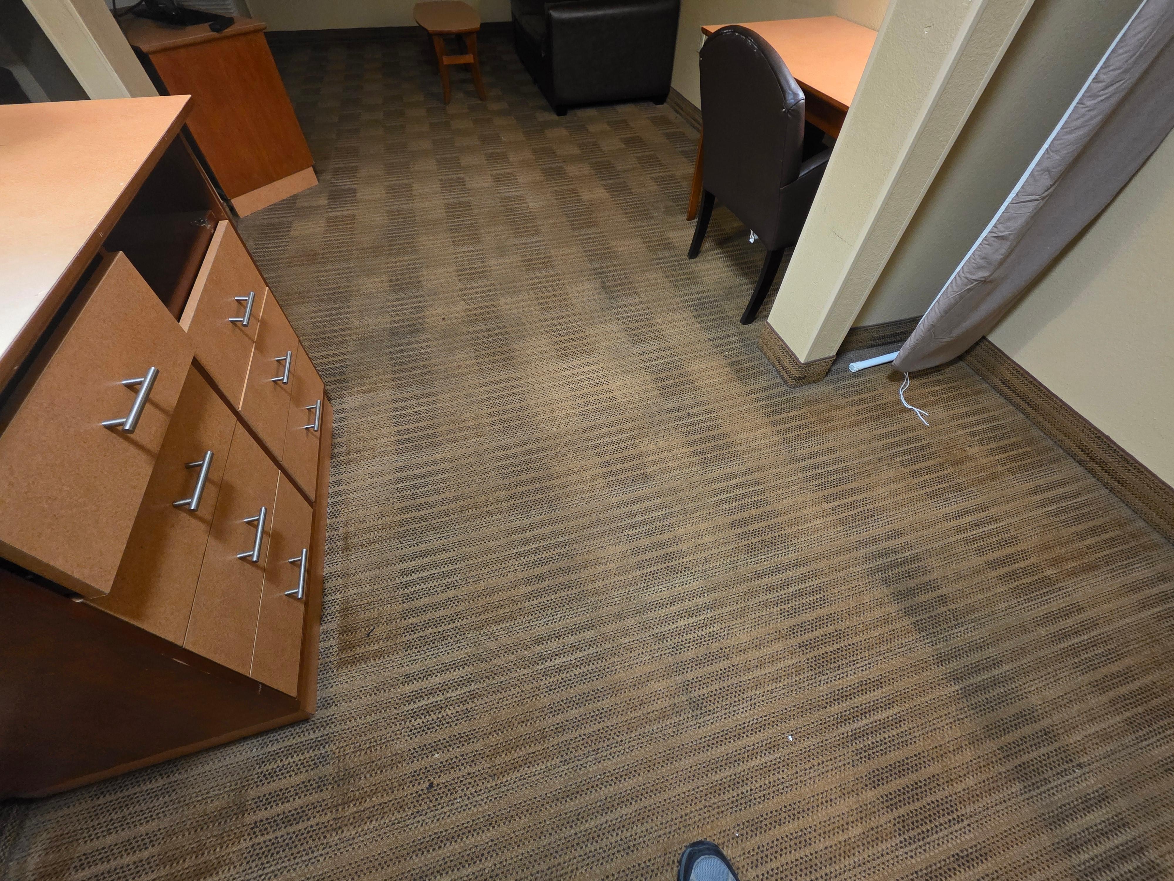 Blood stains on the carpet.