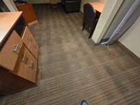 Blood stains on the carpet.