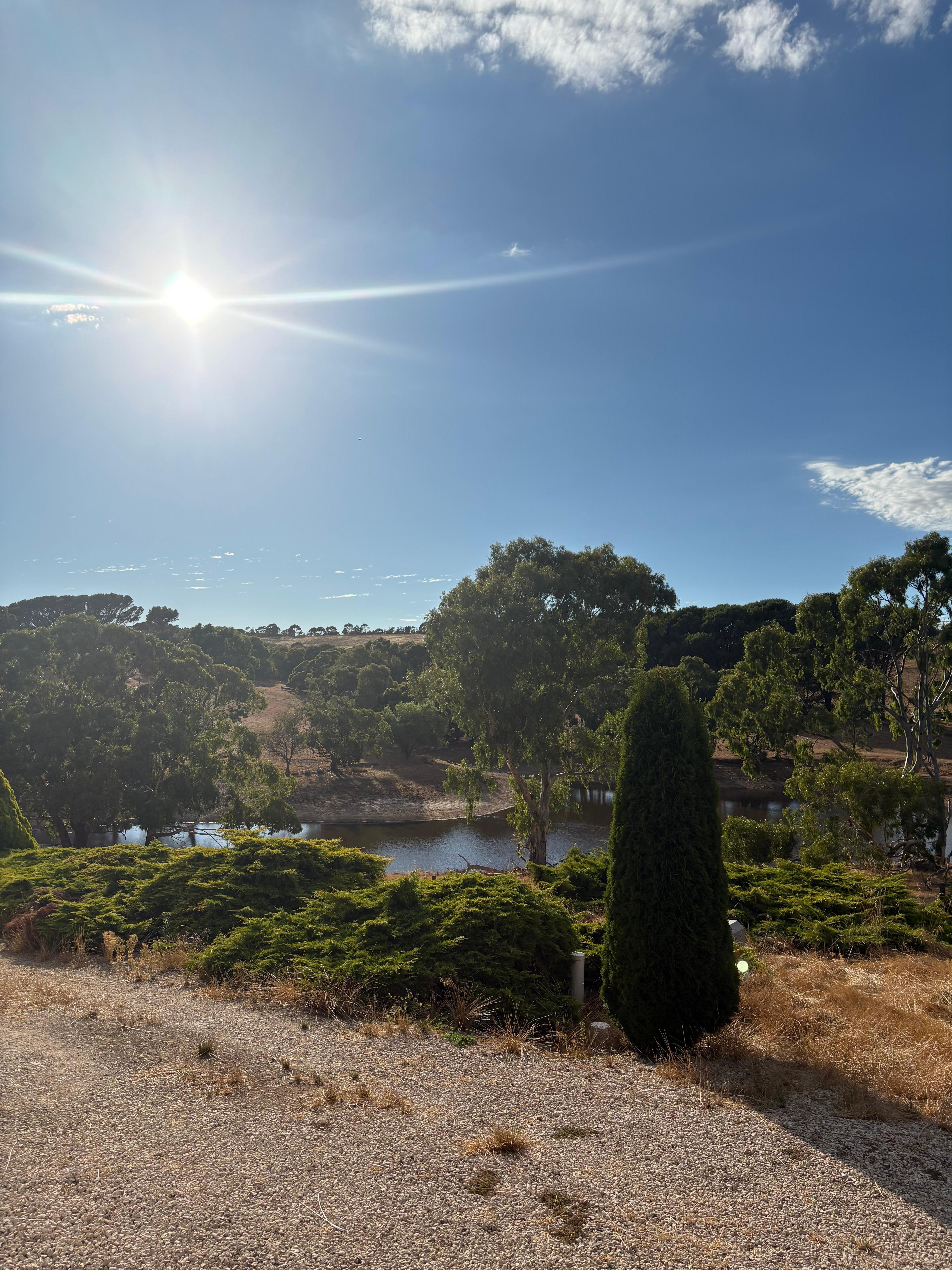 Views from the house 