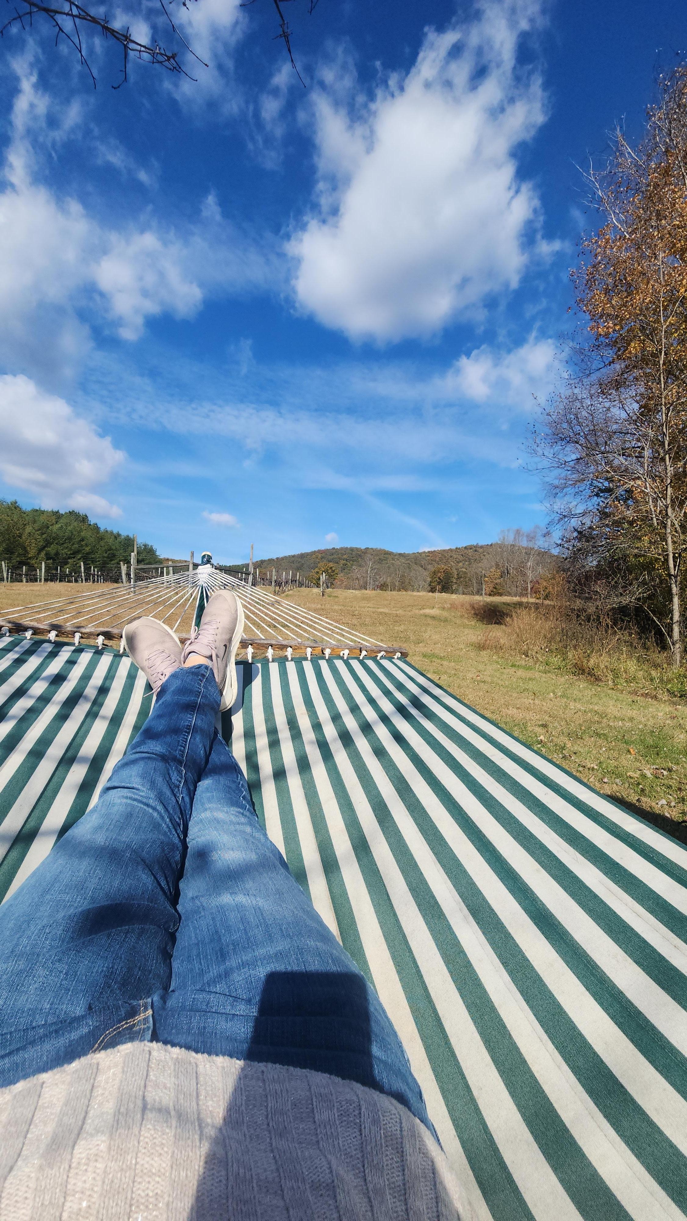 Hammock with a view. 