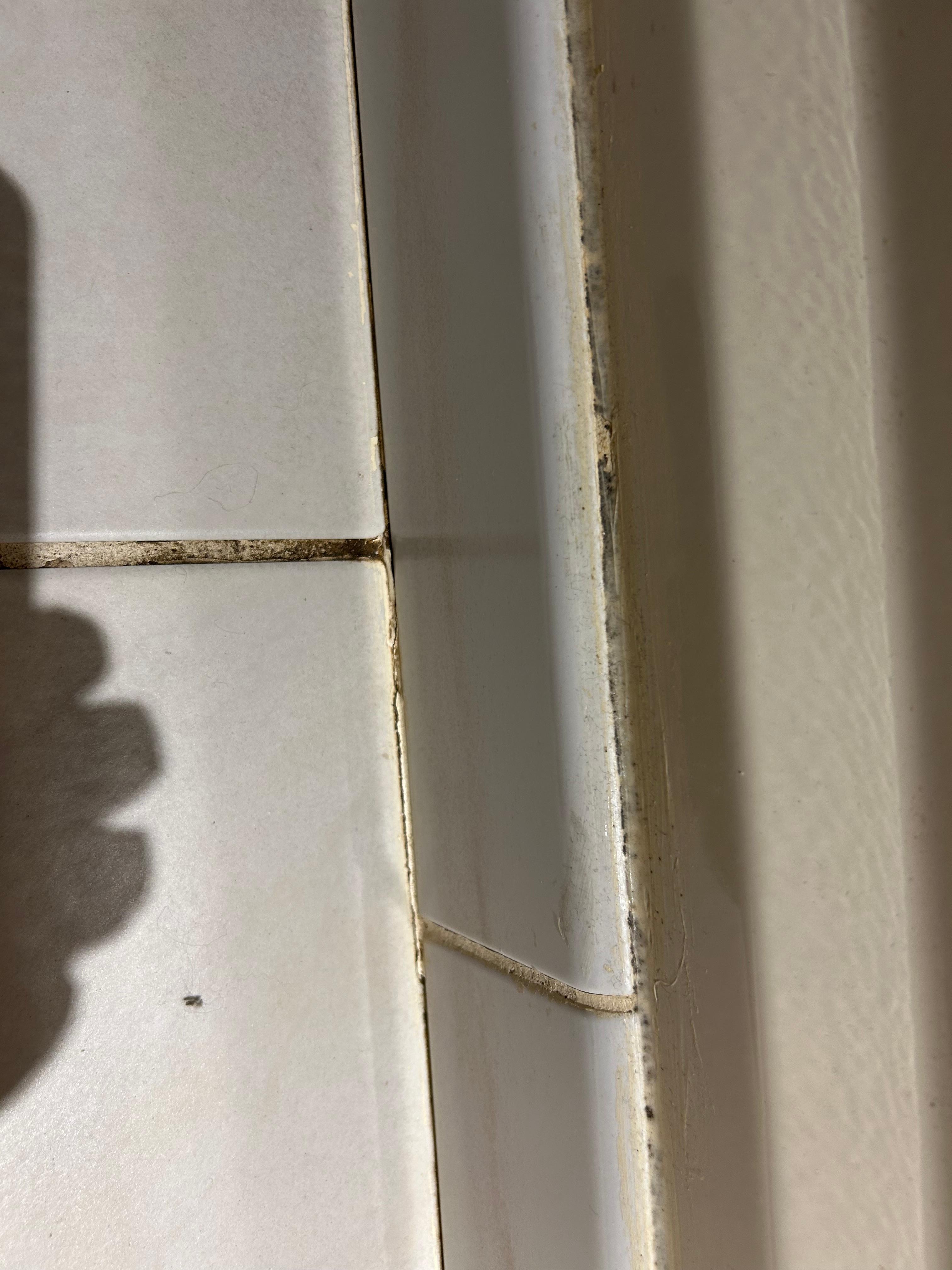 Bathtub and tile floor 