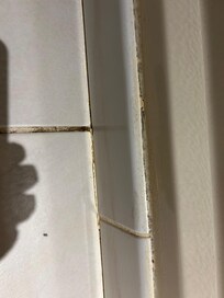 Bathtub and tile floor