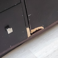 Did something try to gnaw the fridge door?