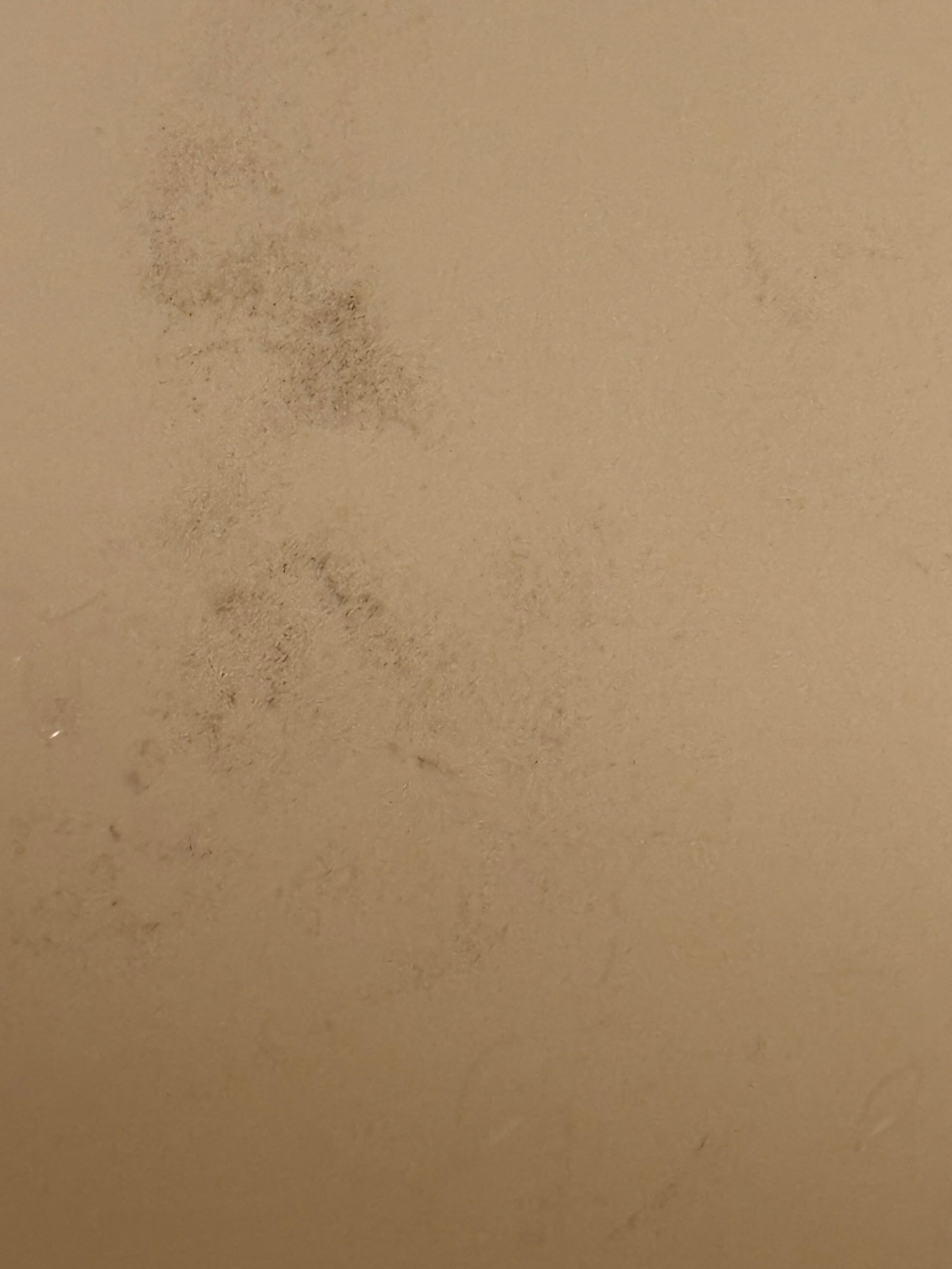 Dirt which was coming off the shower curtain in the shower as we ran the water. 
