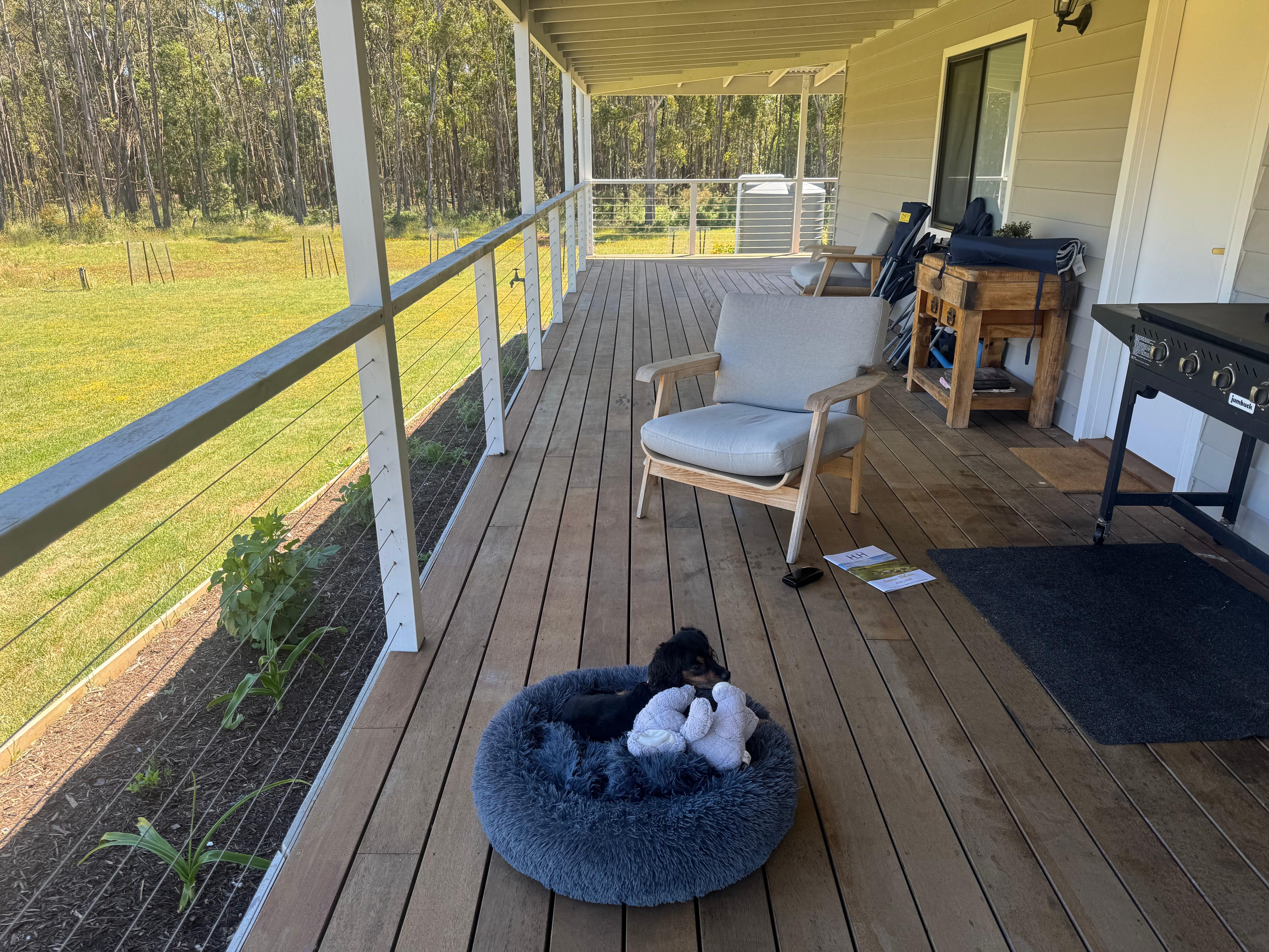 Relaxing on the northern back deck