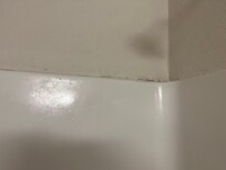 Mold on wall