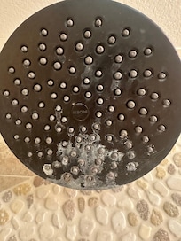 Shower head