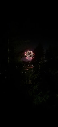 Fireworks over Big Bear Lake.