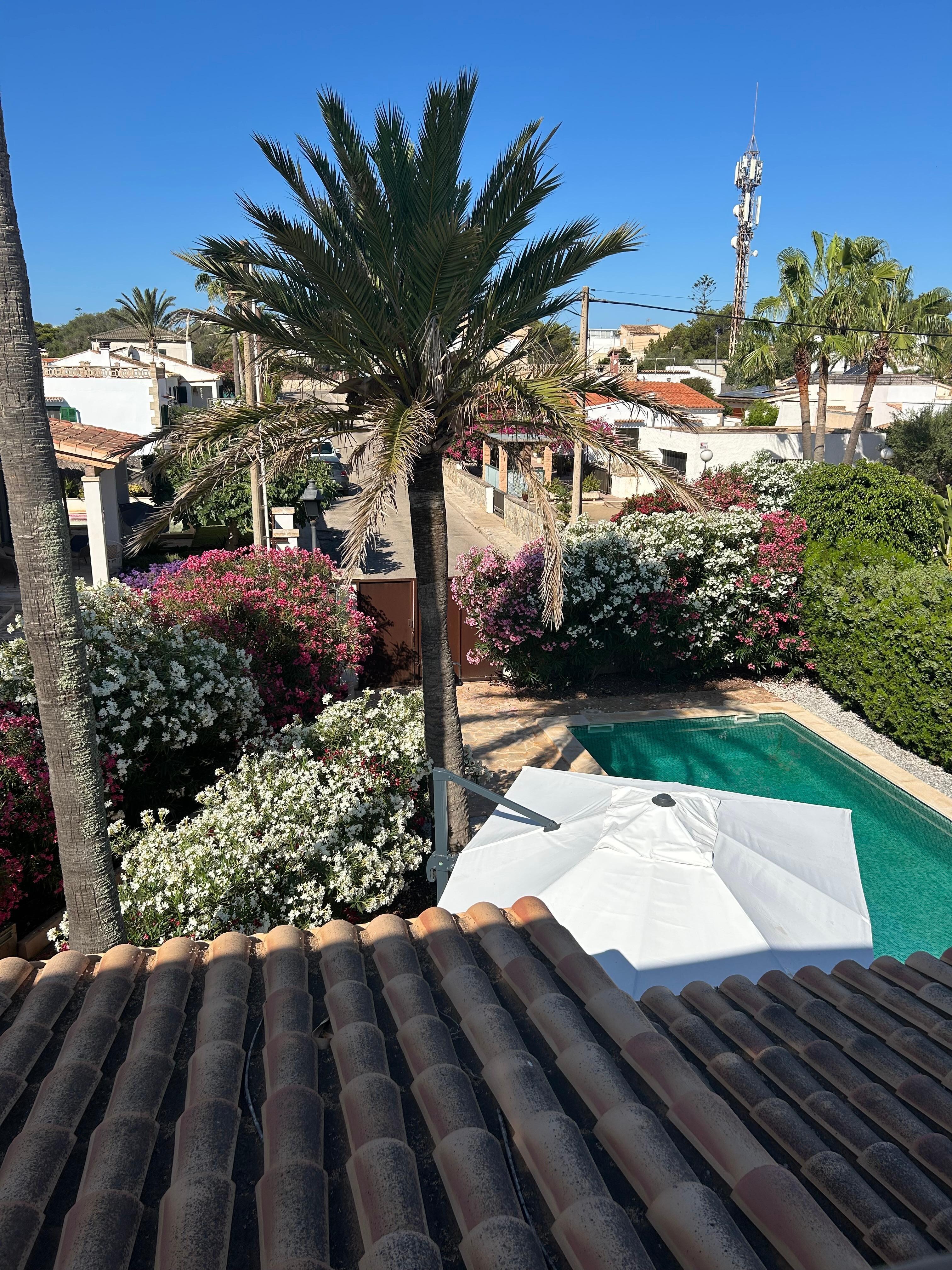 Streer view from the roof terrace