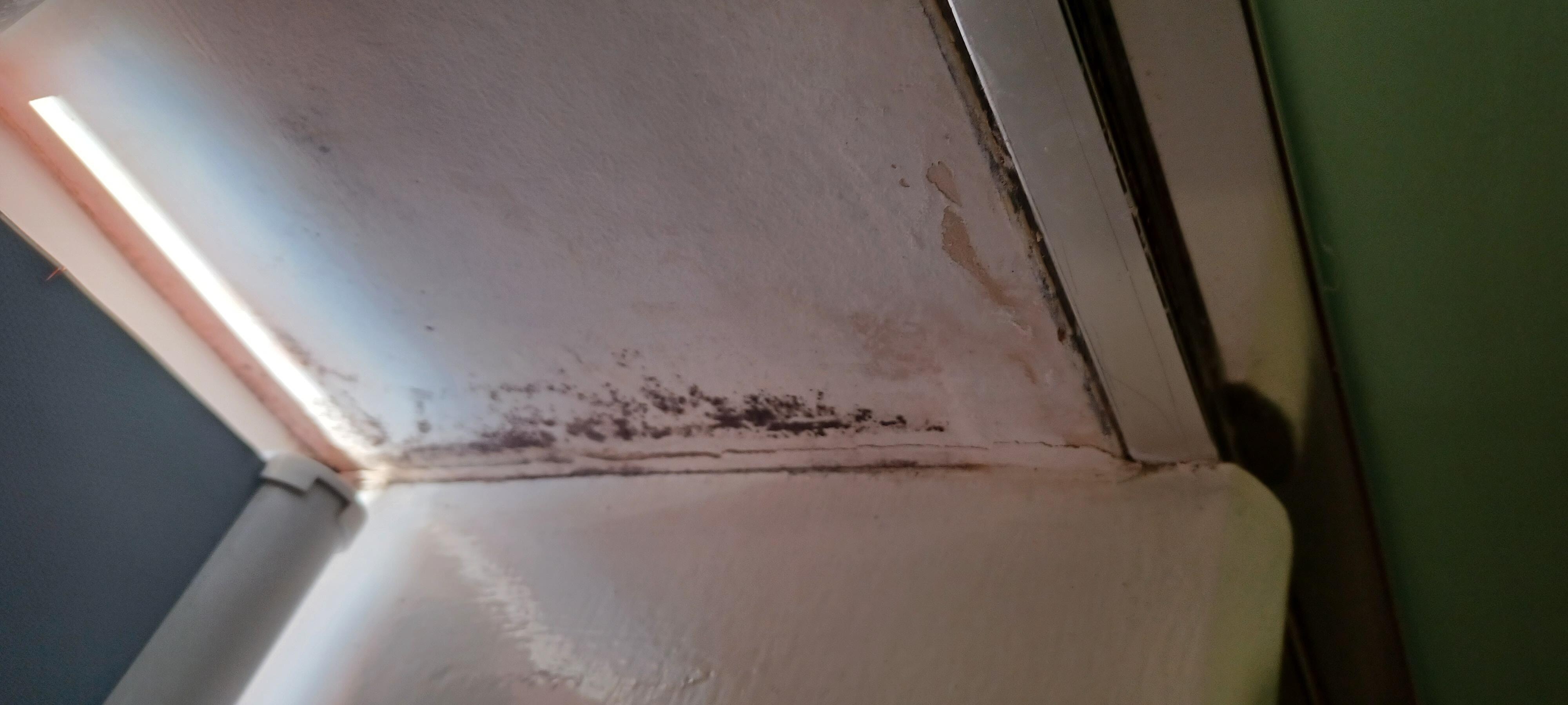 mould