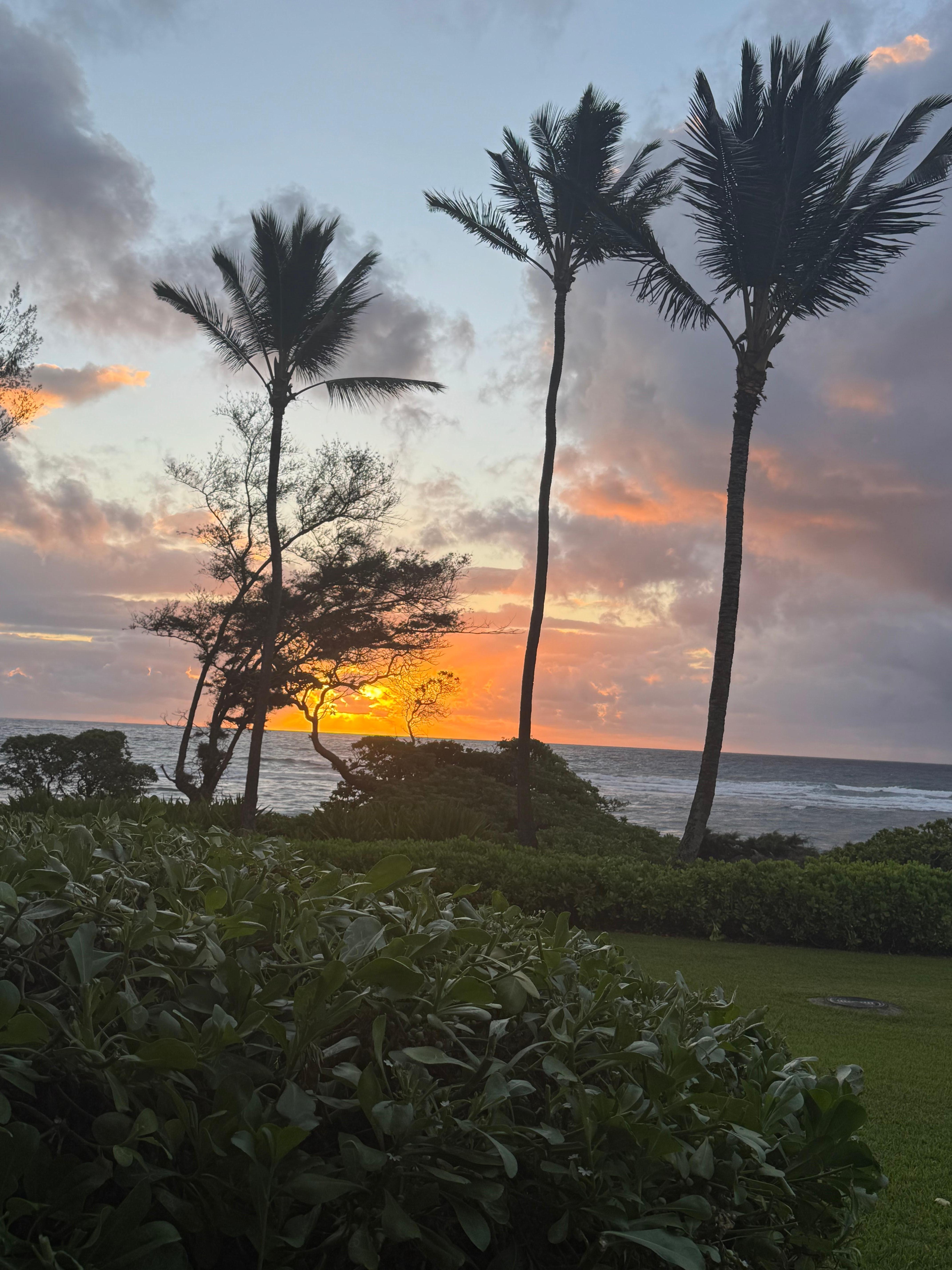 Night view from the lanai