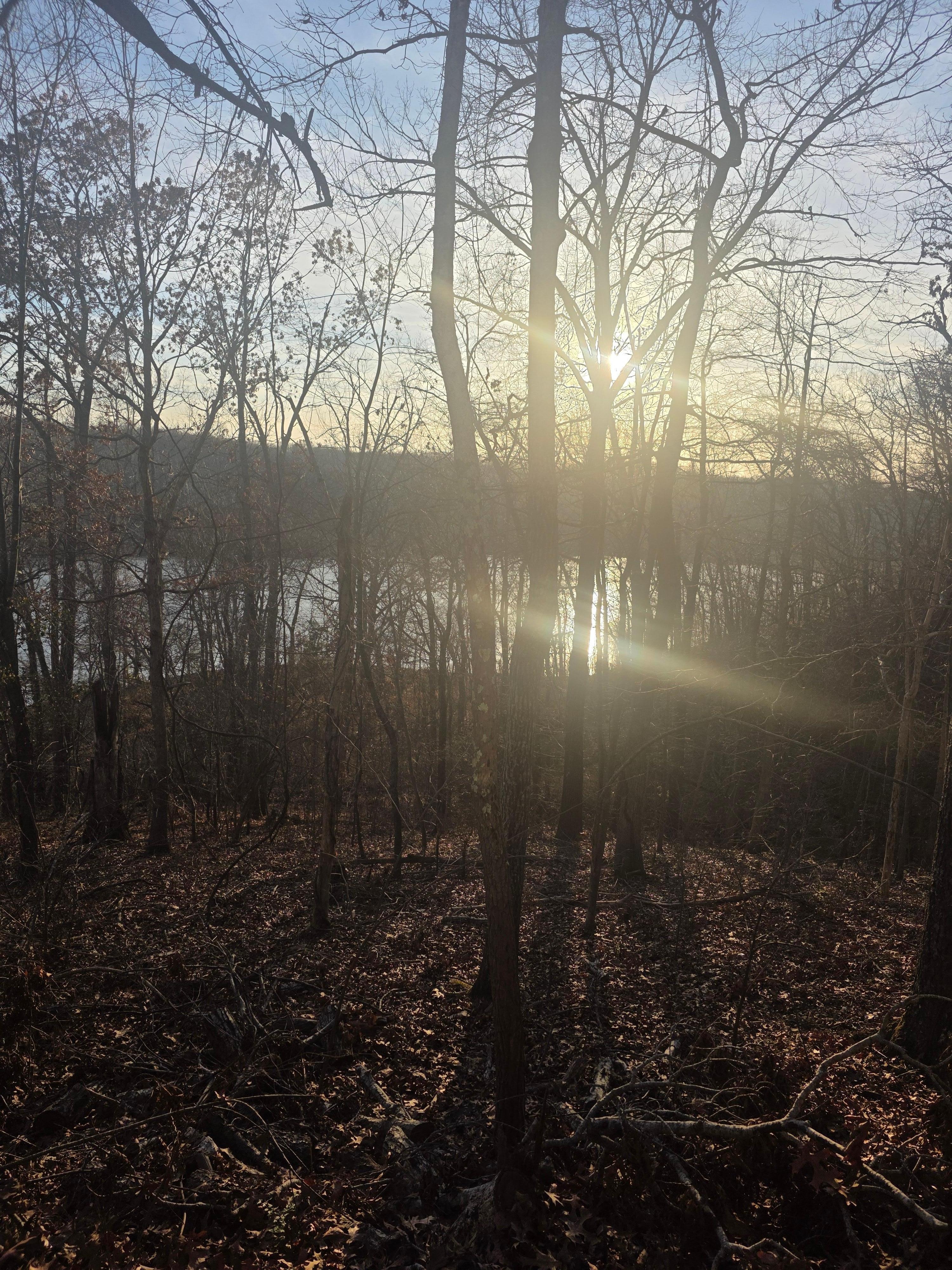 From the porch of the cottage