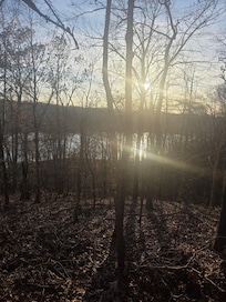 From the porch of the cottage