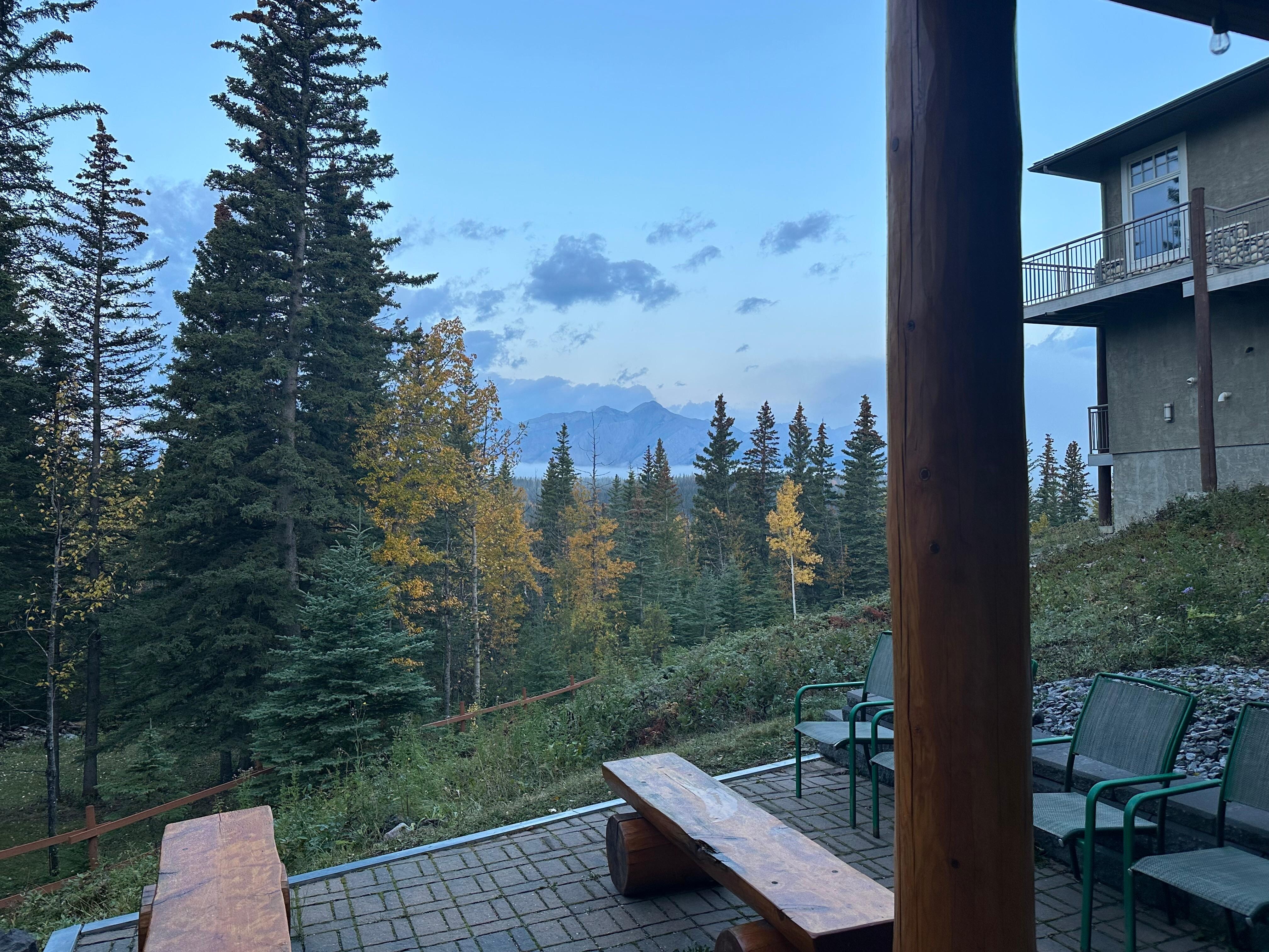 Liking out the window.