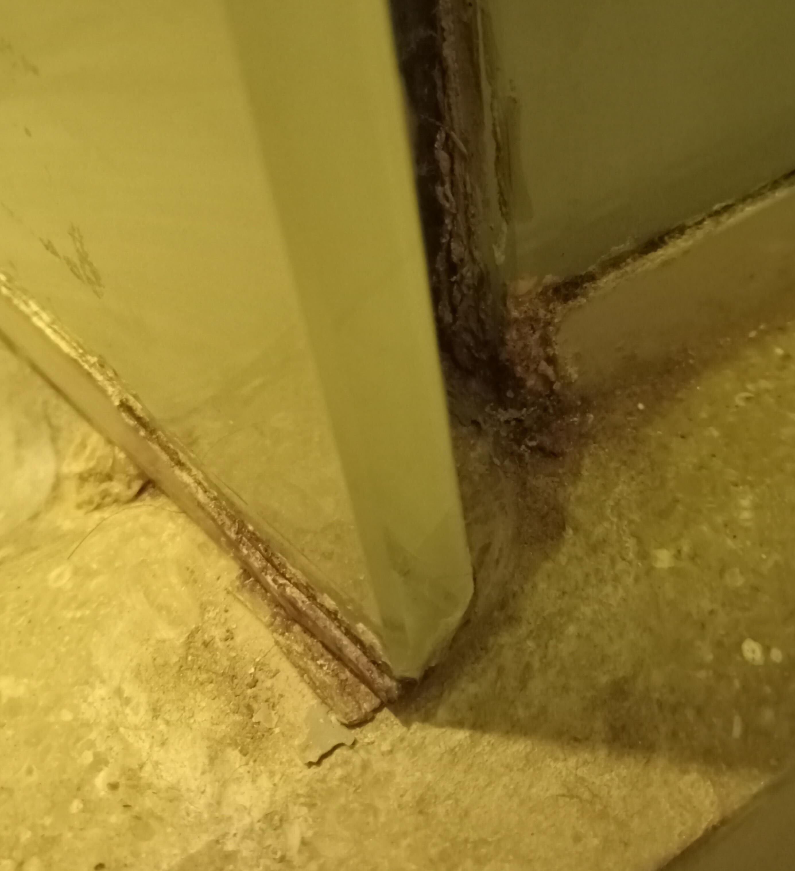 bottom of shower door