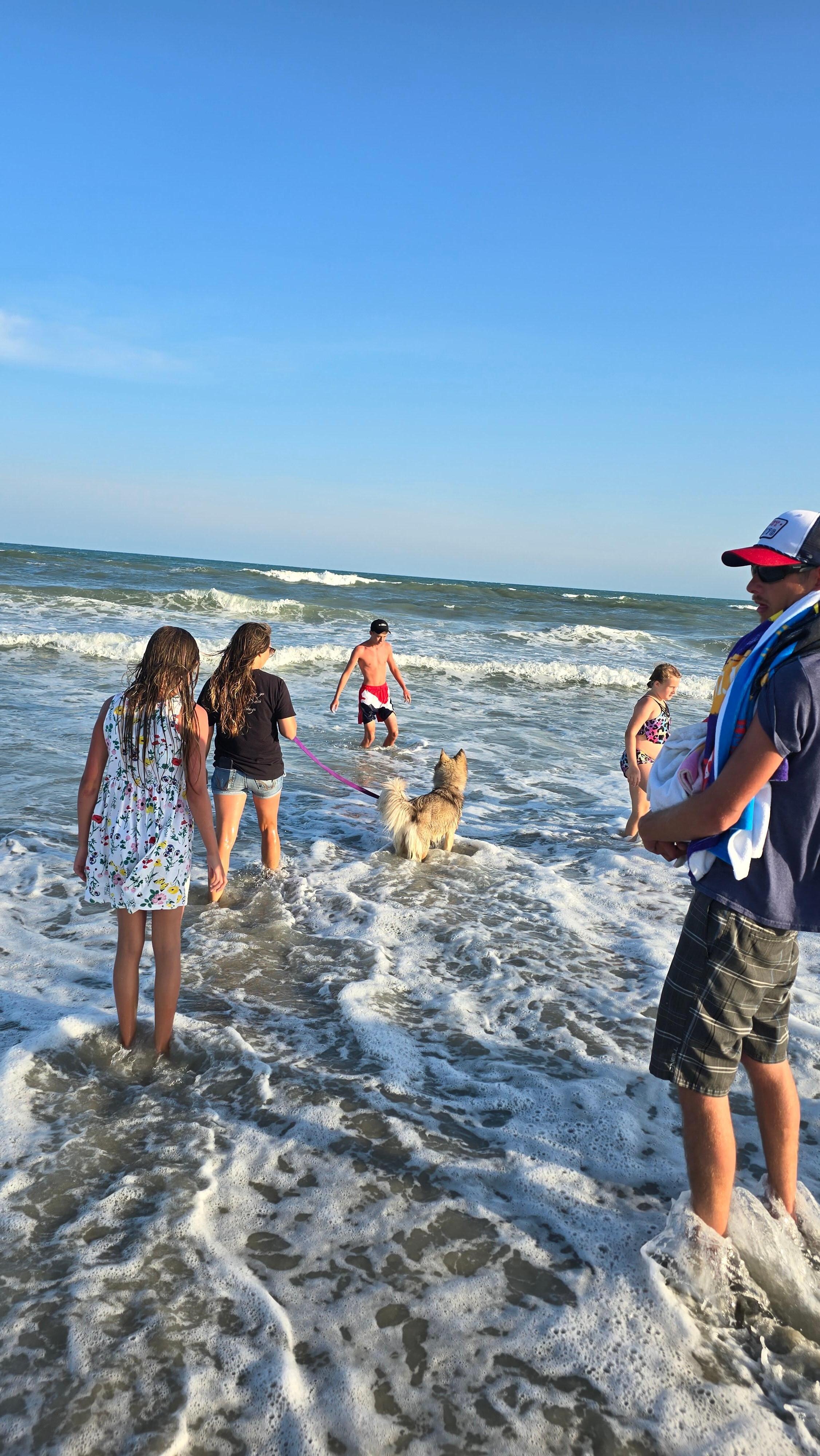 Frolicking at the beach.