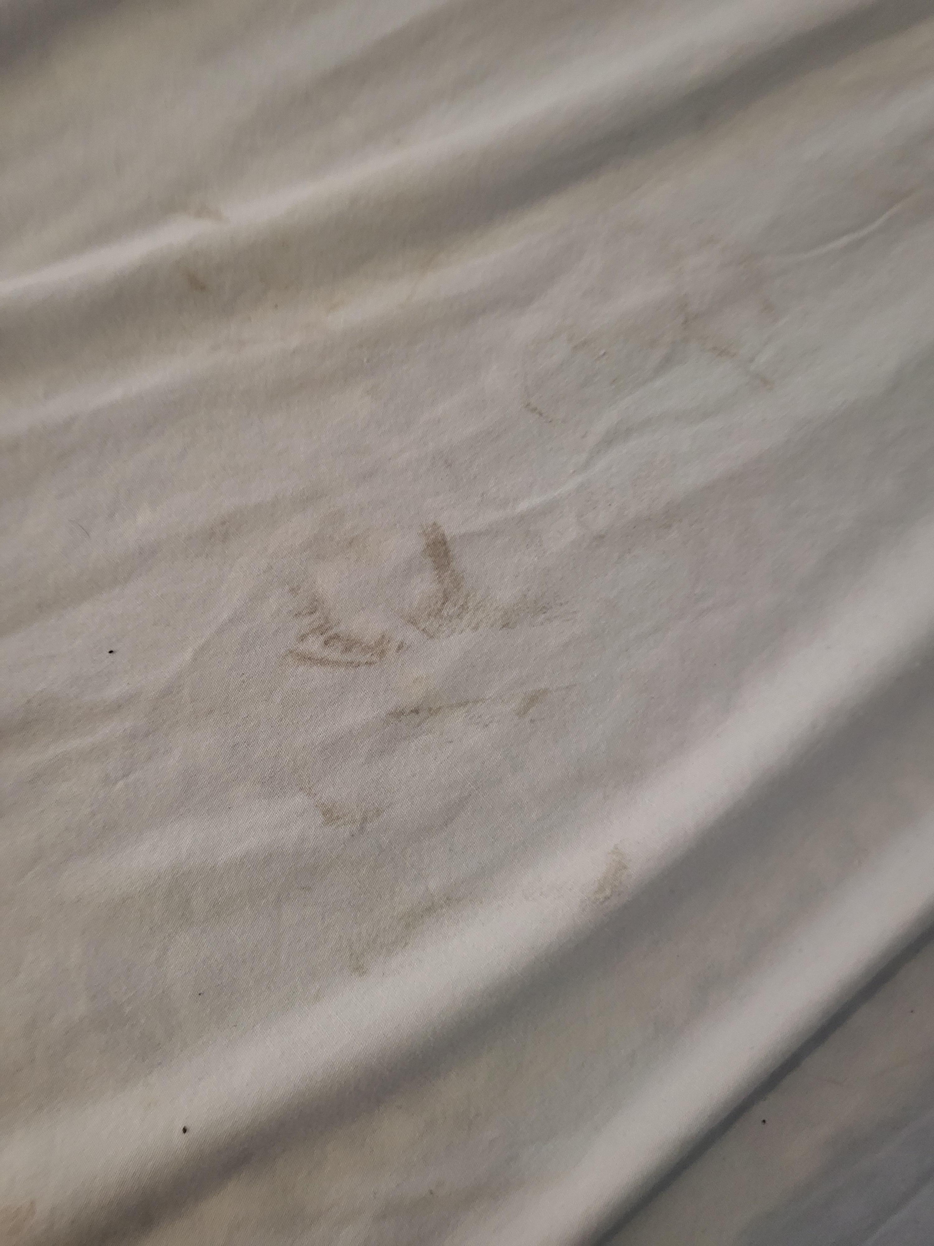 Stains on bedding