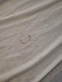 Stains on bedding