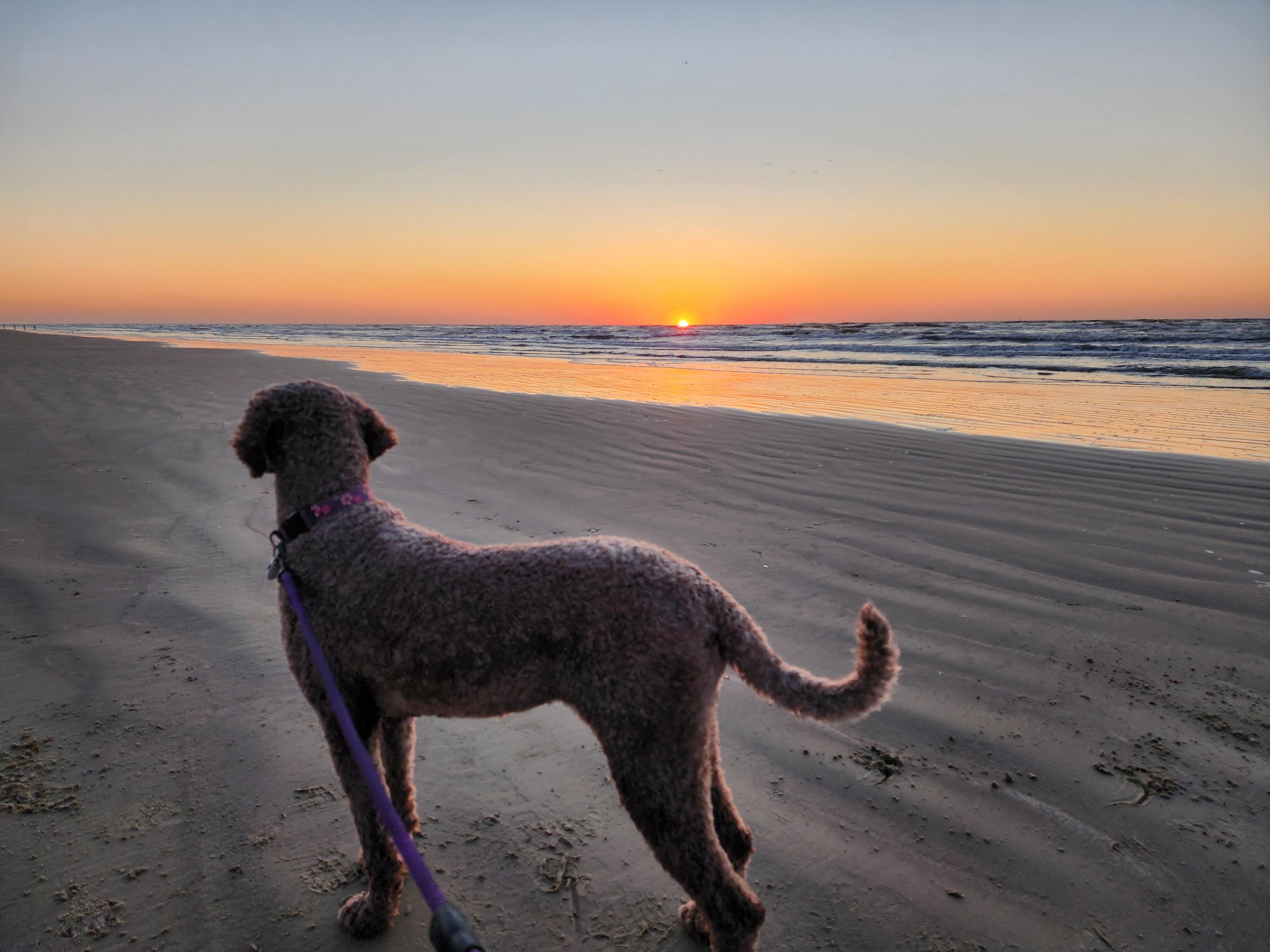 Sunrise on the beach