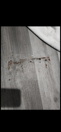 Piso por donde esta la mesa para comer