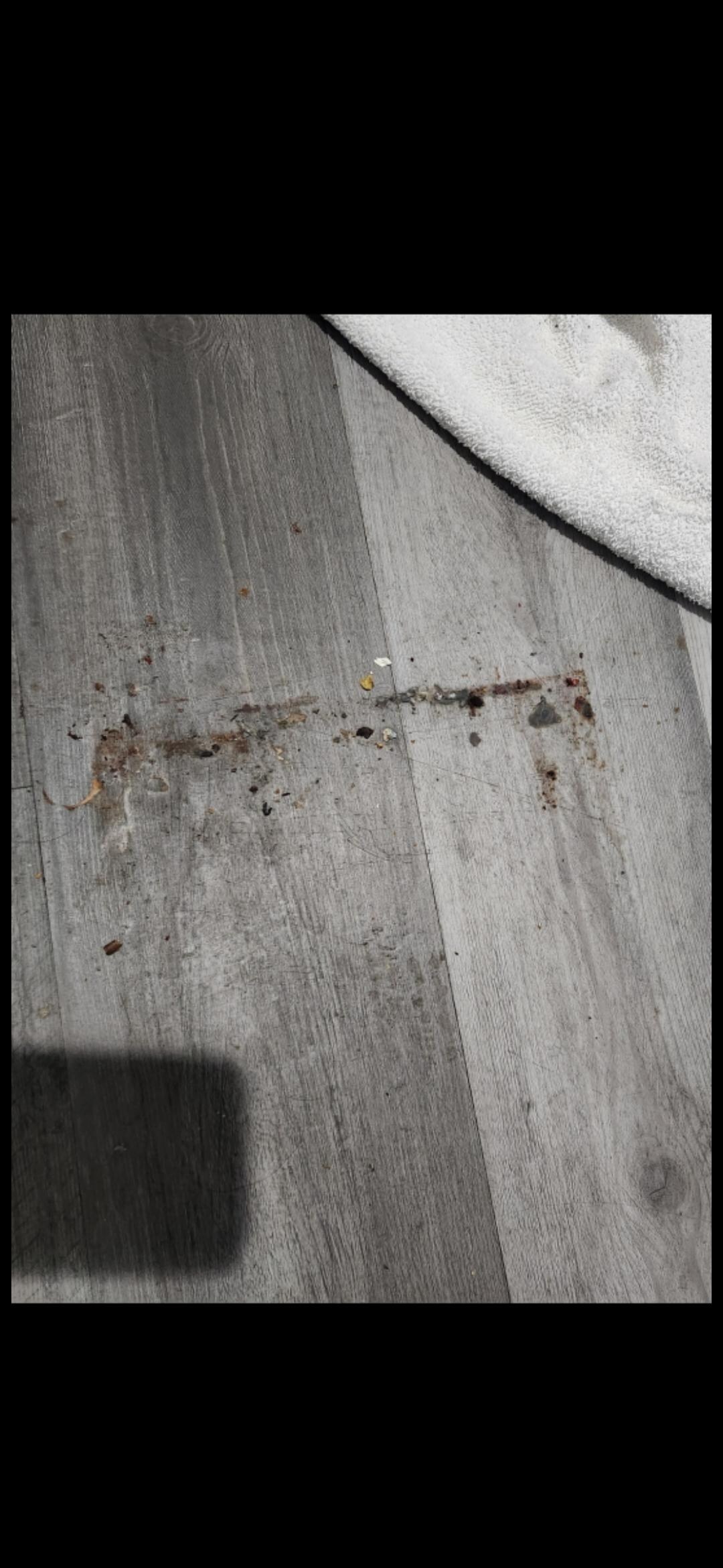 Piso por donde esta la mesa para comer