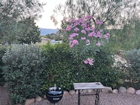 Garten mit Grill