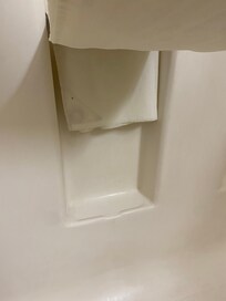 Mold on shower curtain.