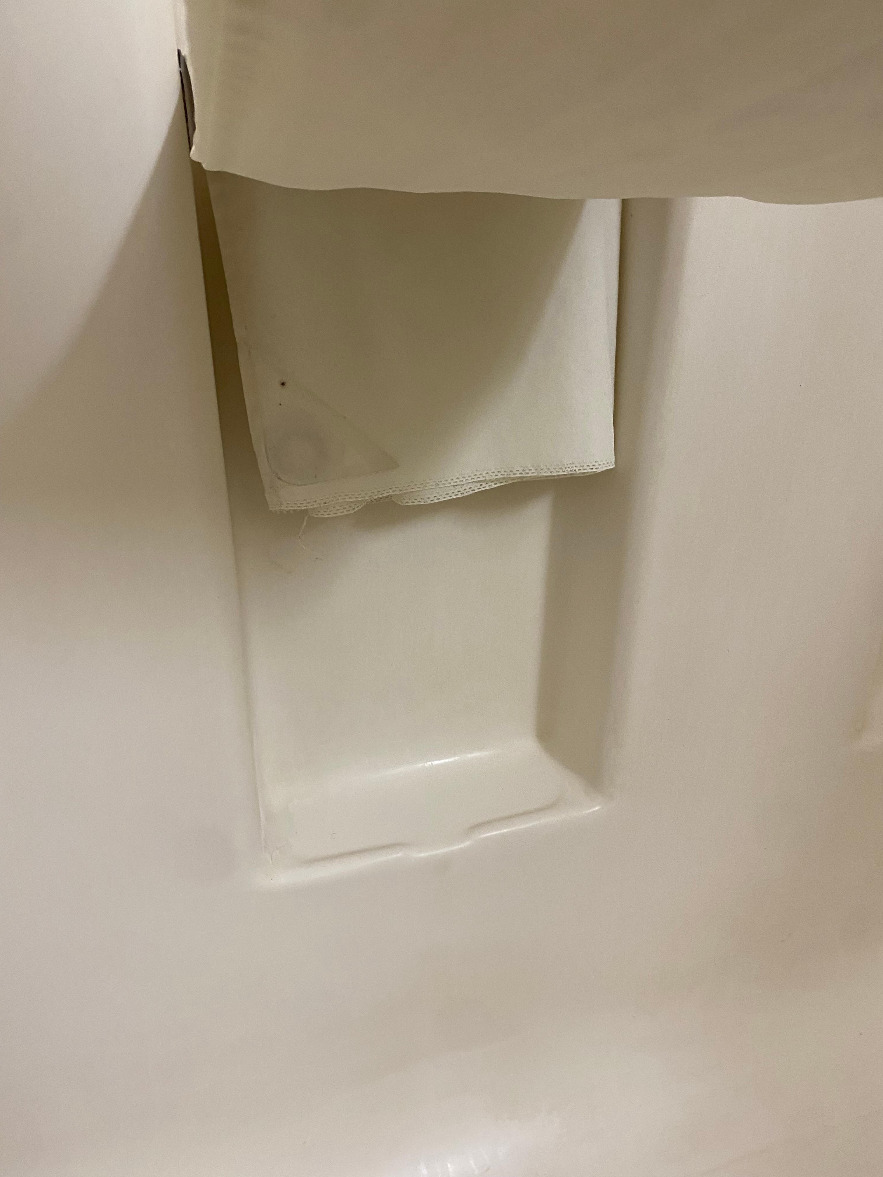Mold on shower curtain.