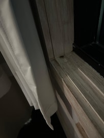 Bug in window seal