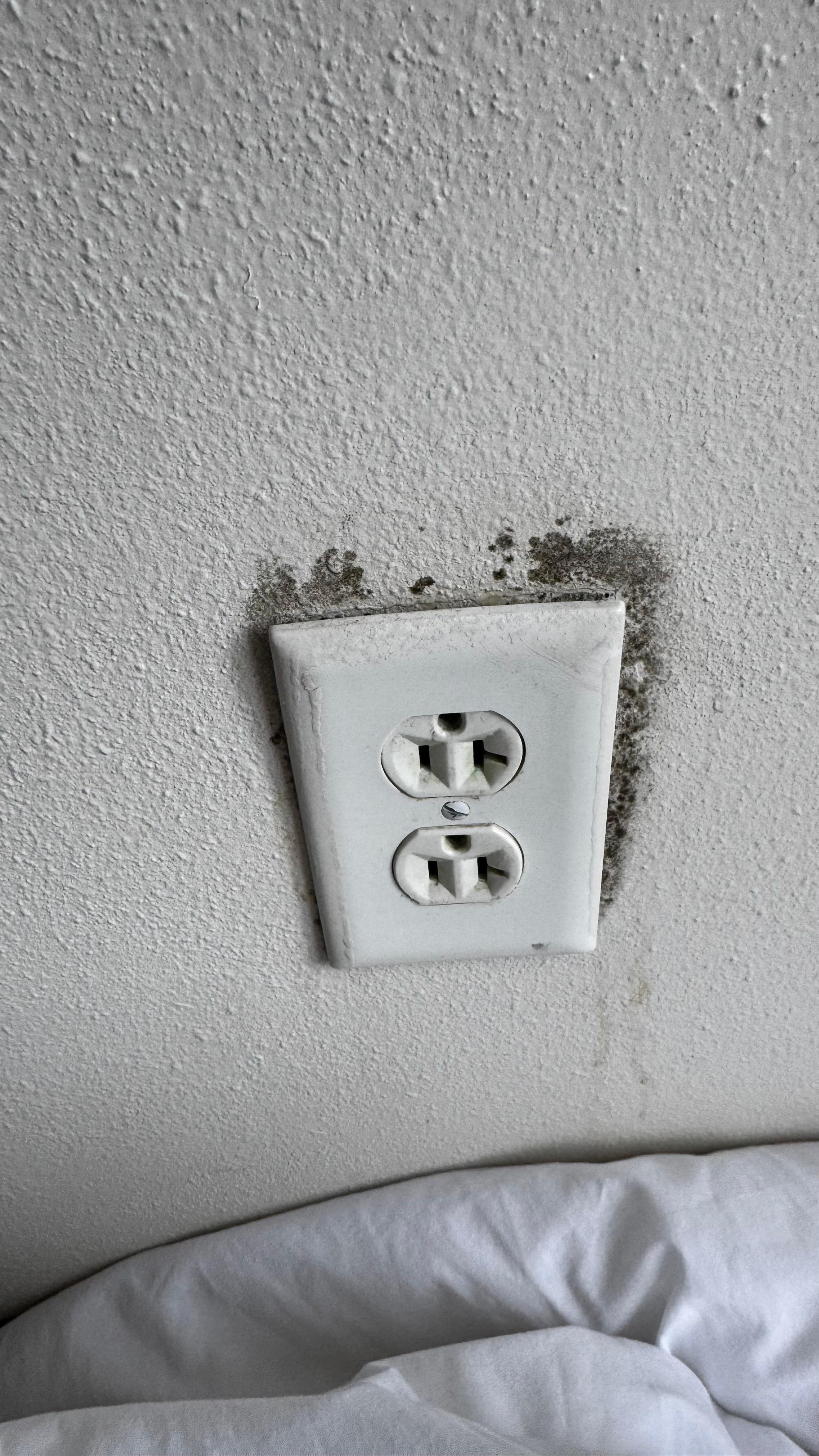 Mold around outlet