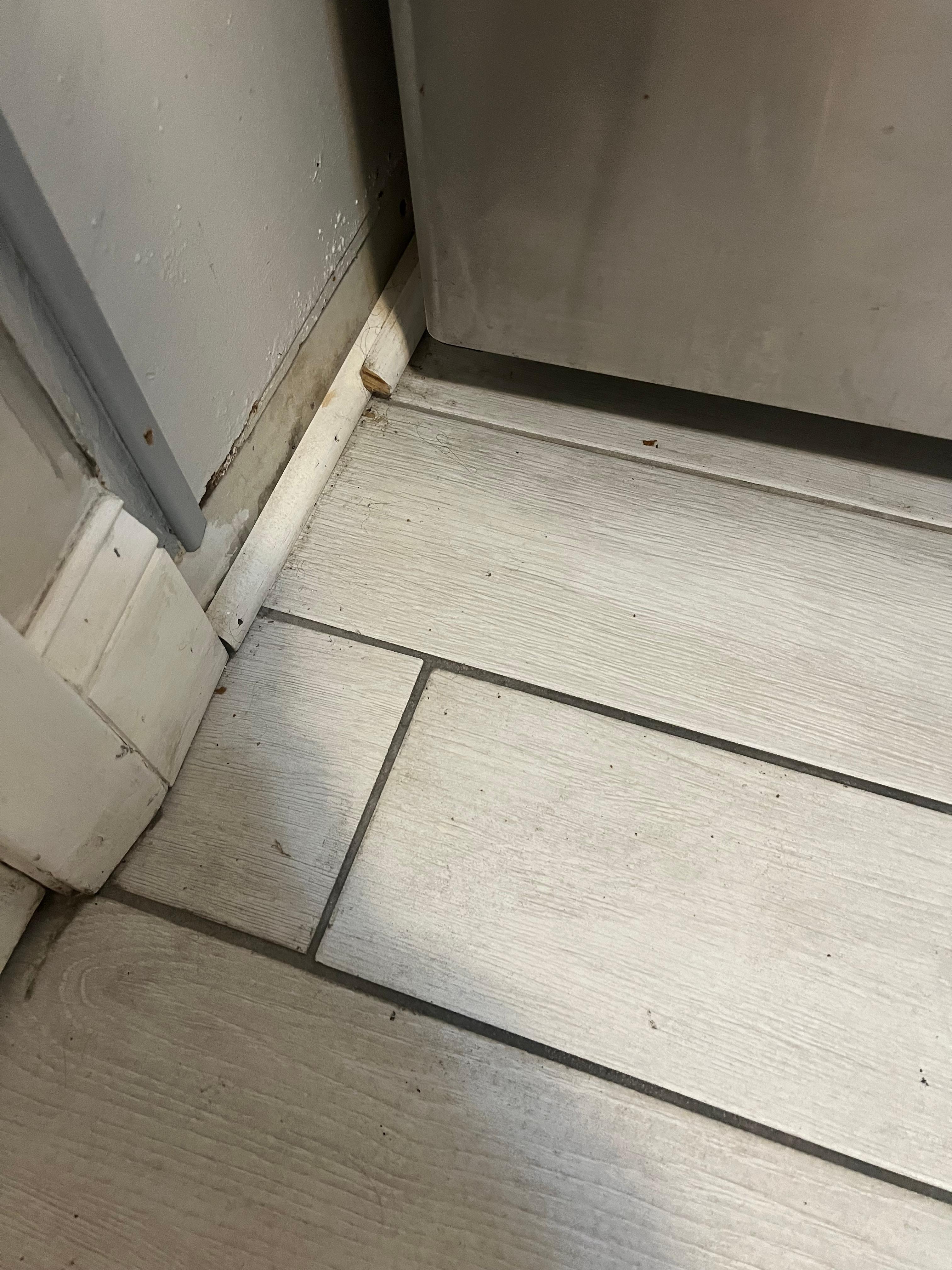 Just very unclean in general