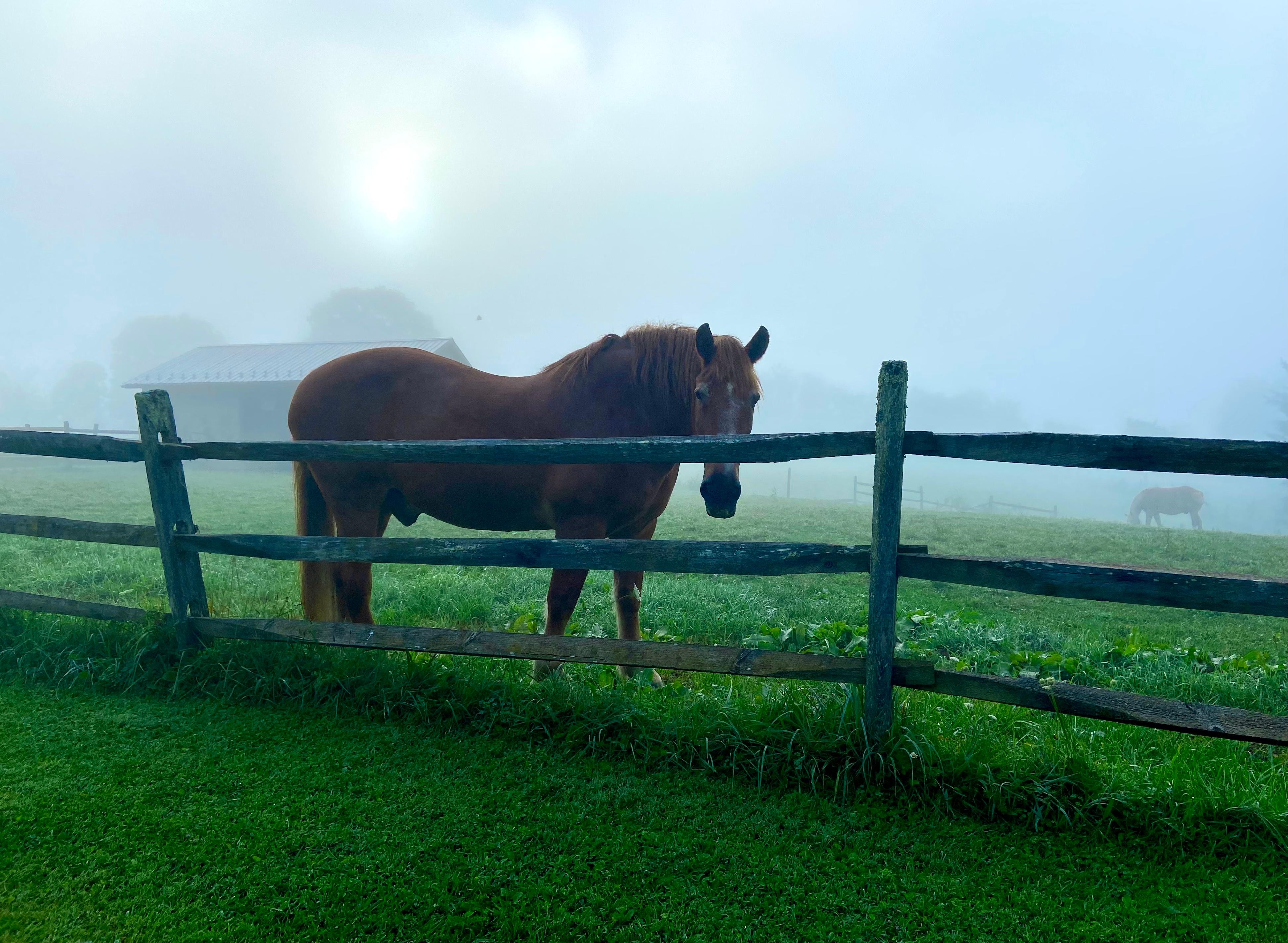 Our view from the guest house on our first morning there. 