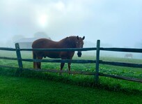 Our view from the guest house on our first morning there.