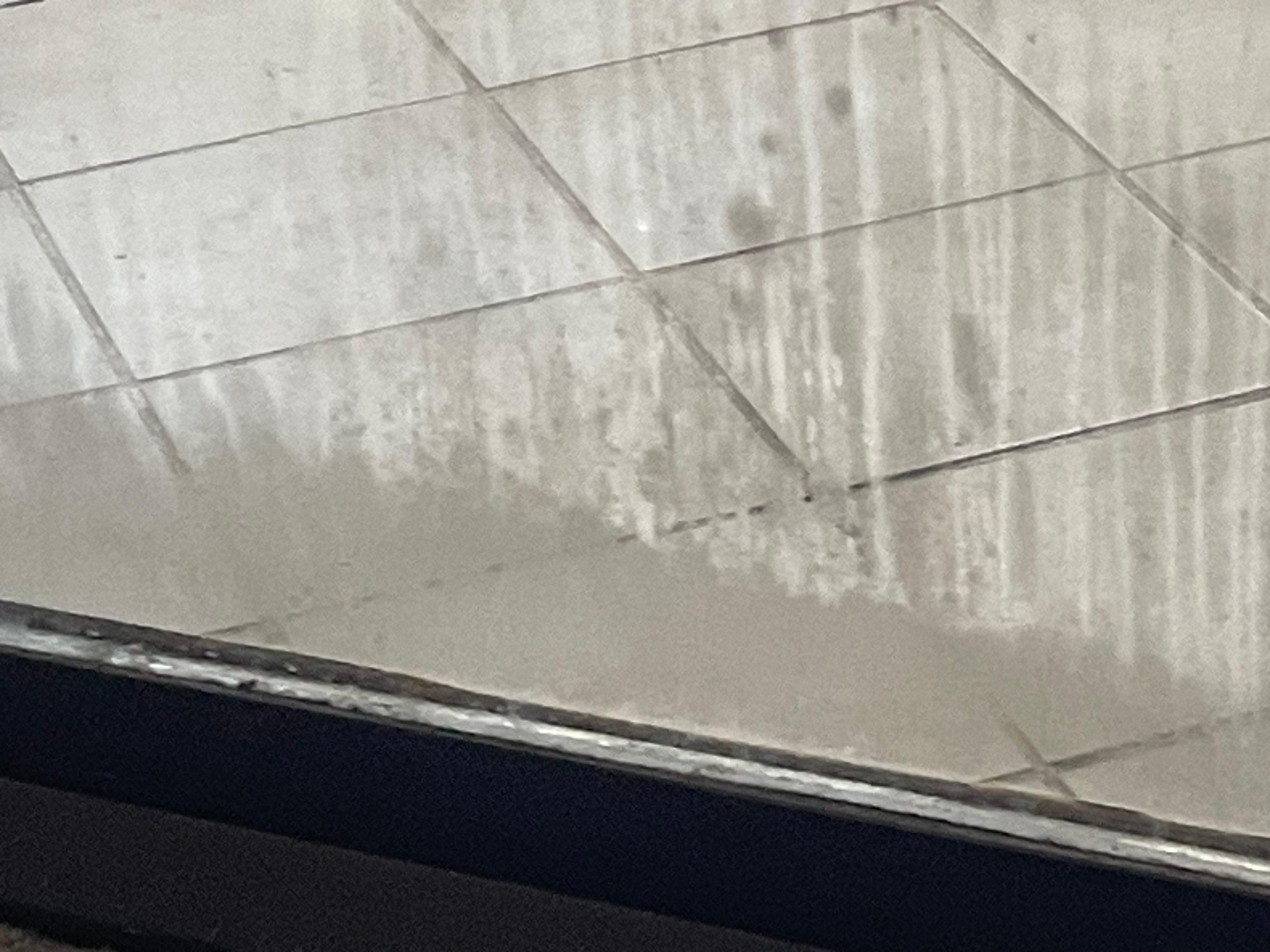 Window in rooms sliding door to the patio there was mold in me in the room