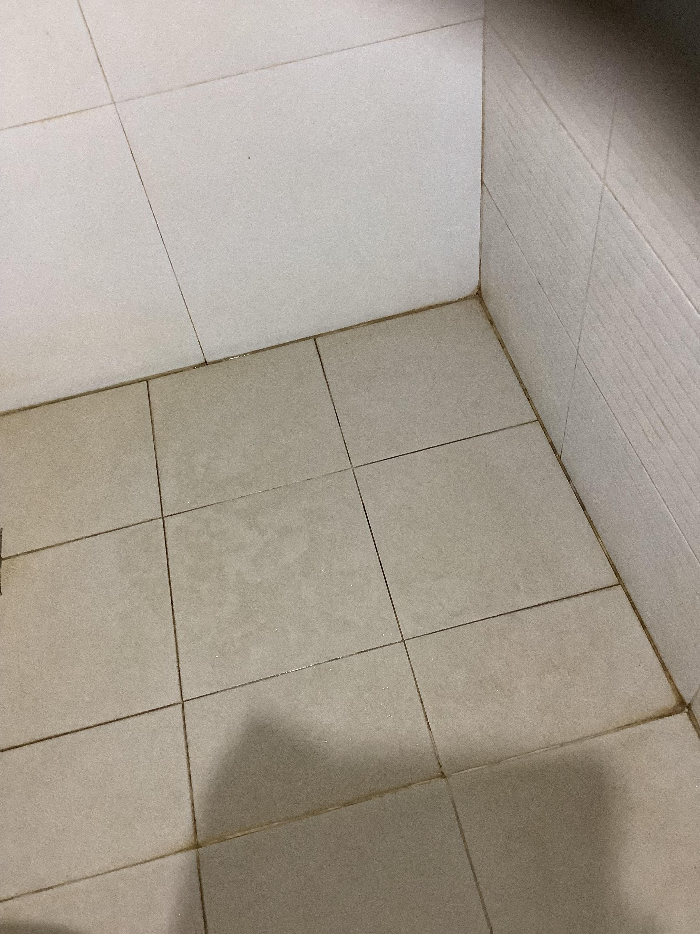 Mouldy grout