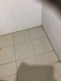 Mouldy grout