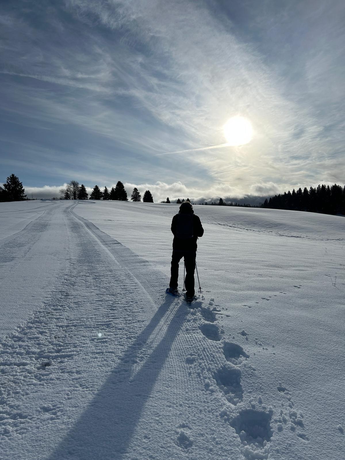 Randonnée en raquettes directement depuis l'appartement