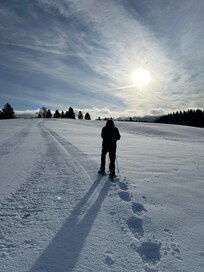 Randonnée en raquettes directement depuis l'appartement