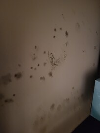Mold under vanity in bathroom