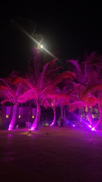 Beautiful resort with tropical vibes