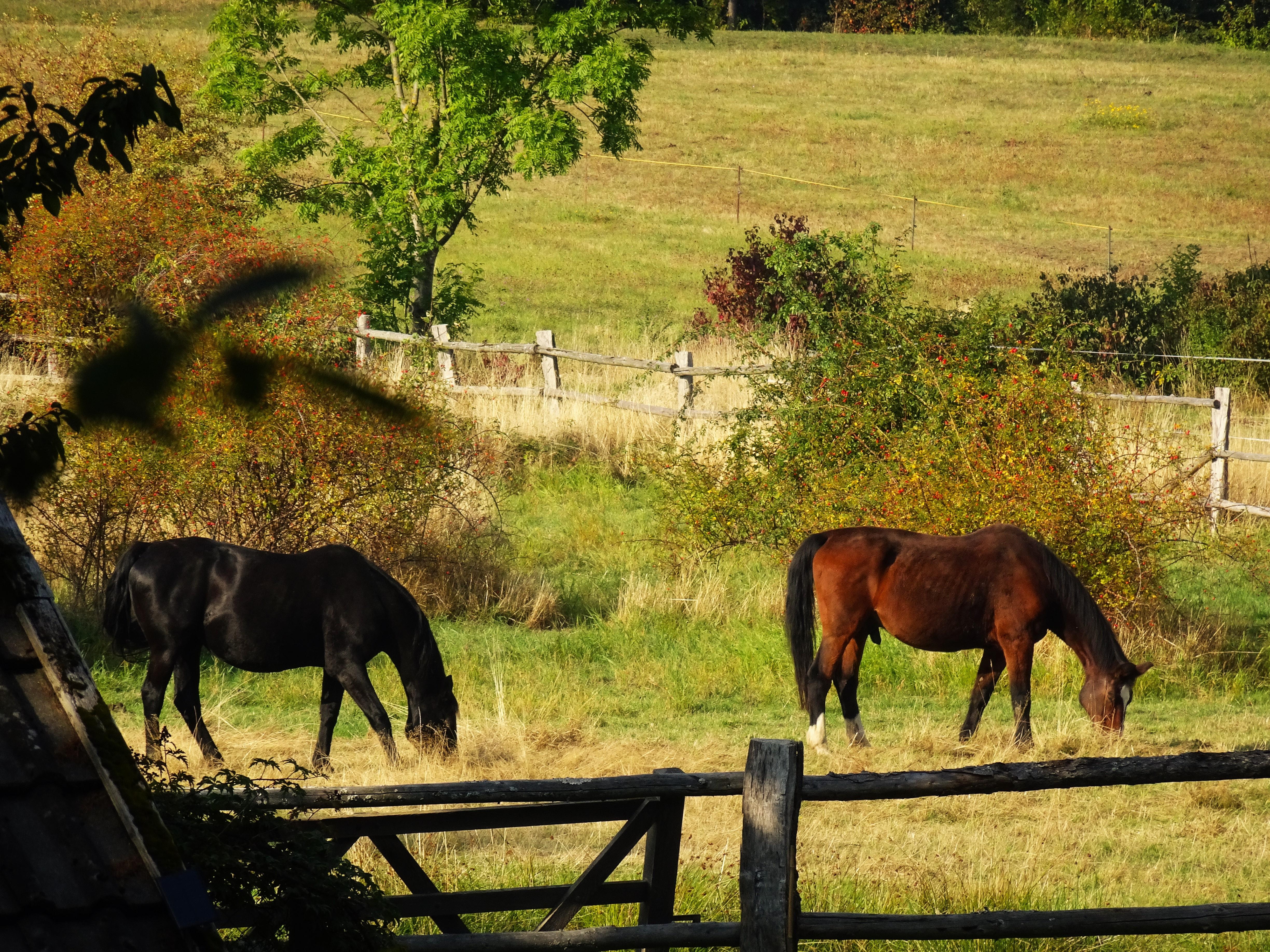 Ausblick vom Grundstück