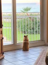 Millie’s favorite spot