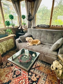 Our dog, Sweetie’s favorite spot on the  sofa in the screened in porch.