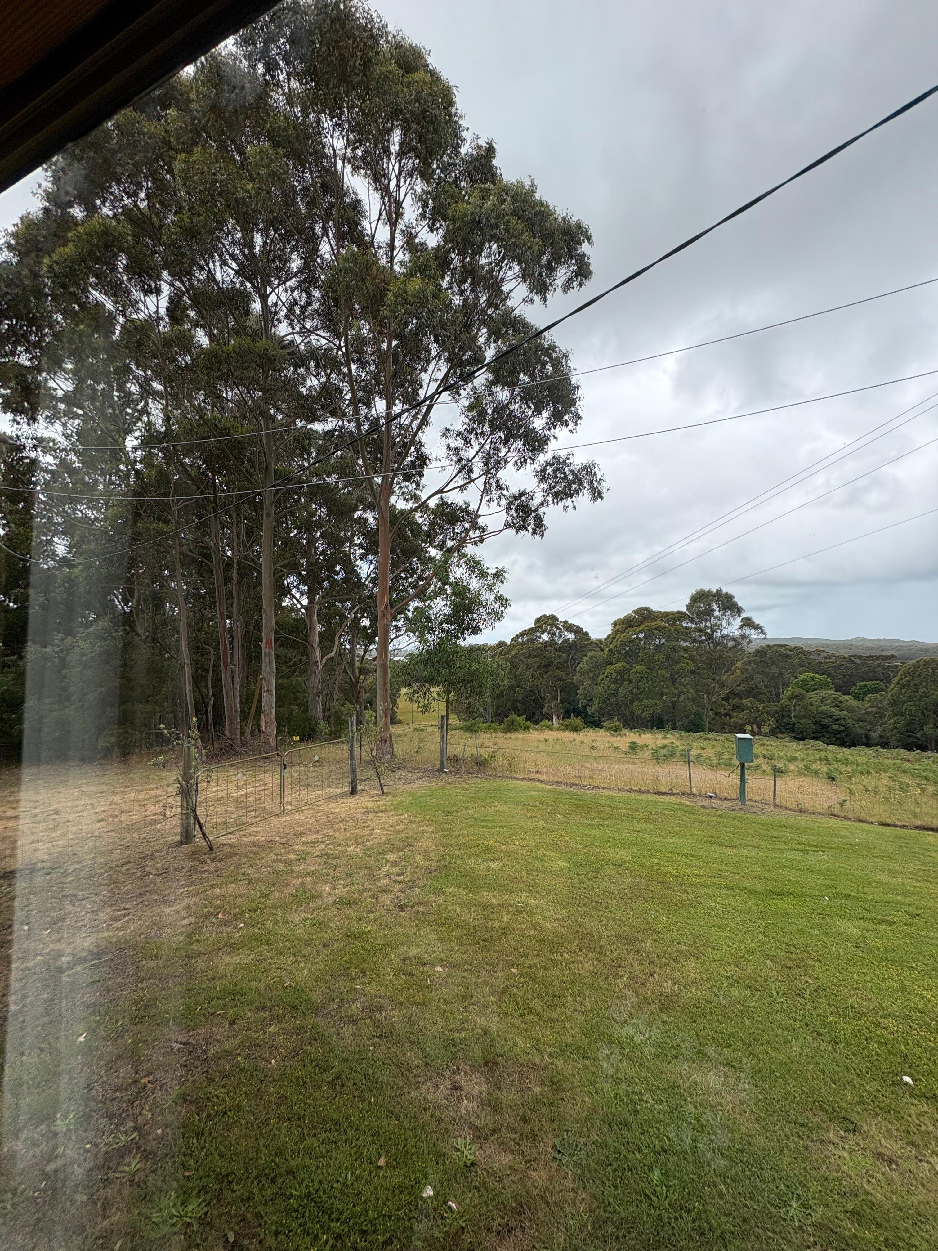 View from dining room window 