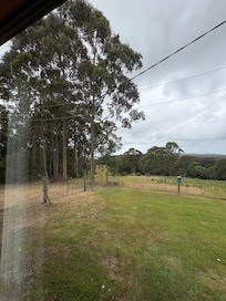 View from dining room window