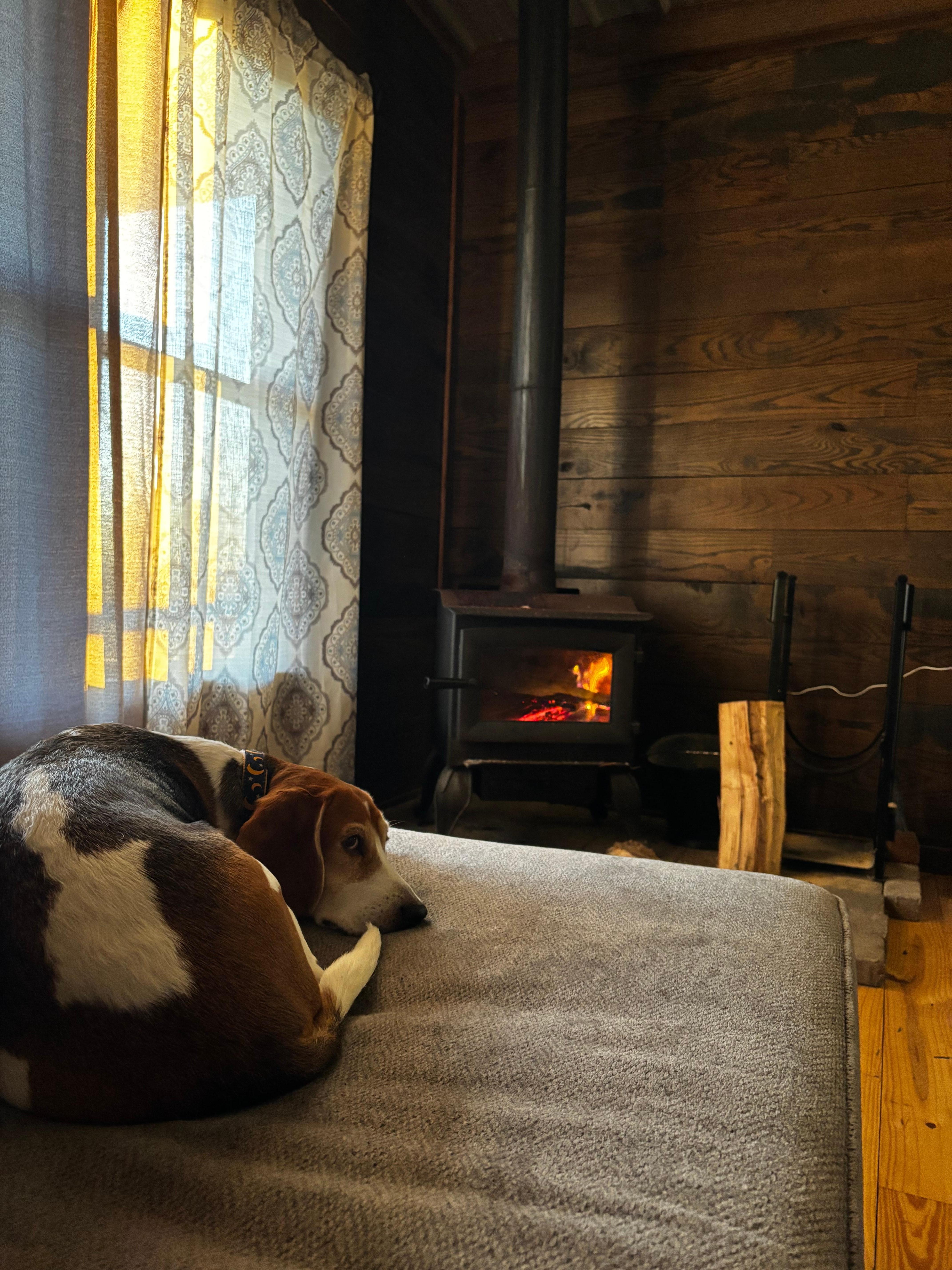 The tv had so many options for things to watch!